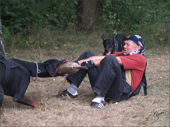 Summer training camp - Jelenec - 2007